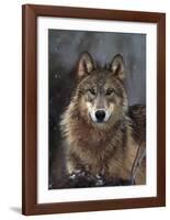 Woodland Pride, Montana-Art Wolfe-Framed Art Print