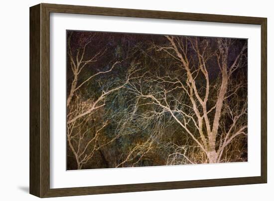 Woodland Reach-Doug Chinnery-Framed Giclee Print