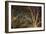 Woodland Reach-Doug Chinnery-Framed Giclee Print