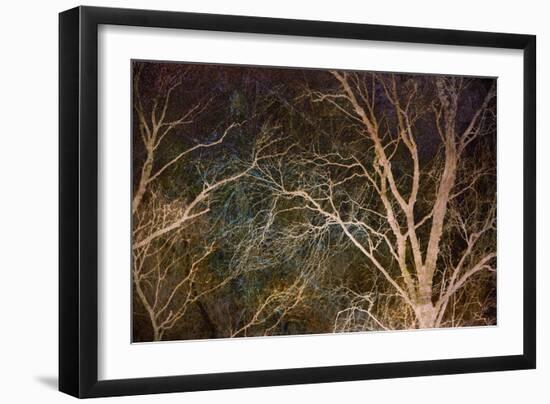 Woodland Reach-Doug Chinnery-Framed Giclee Print