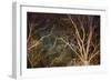 Woodland Reach-Doug Chinnery-Framed Giclee Print