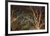 Woodland Reach-Doug Chinnery-Framed Giclee Print