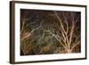 Woodland Reach-Doug Chinnery-Framed Giclee Print