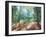 Woodland Reverie-Danhui Nai-Framed Art Print