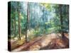 Woodland Reverie-Danhui Nai-Stretched Canvas