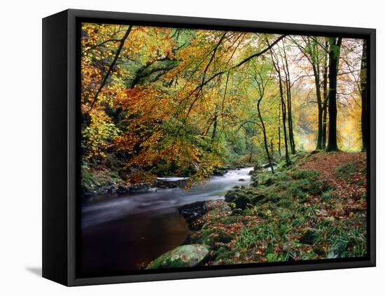 Woodland River-Dr. Keith Wheeler-Framed Stretched Canvas