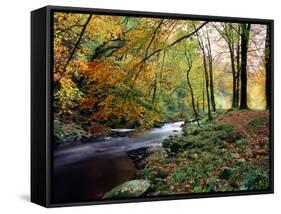 Woodland River-Dr. Keith Wheeler-Framed Stretched Canvas