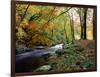 Woodland River-Dr. Keith Wheeler-Framed Photographic Print