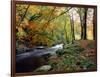 Woodland River-Dr. Keith Wheeler-Framed Photographic Print