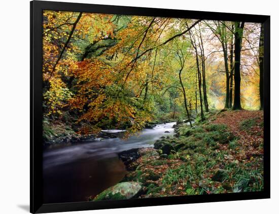 Woodland River-Dr. Keith Wheeler-Framed Photographic Print