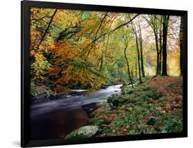 Woodland River-Dr. Keith Wheeler-Framed Photographic Print