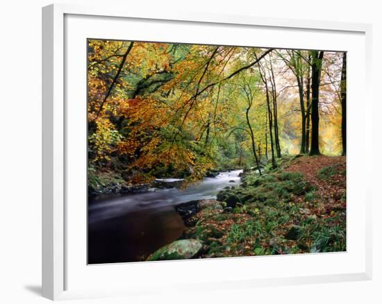 Woodland River-Dr. Keith Wheeler-Framed Photographic Print