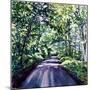 Woodland Road 2017-Tilly Willis-Mounted Premium Giclee Print