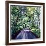 Woodland Road 2017-Tilly Willis-Framed Giclee Print