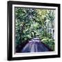 Woodland Road 2017-Tilly Willis-Framed Giclee Print