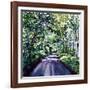 Woodland Road 2017-Tilly Willis-Framed Giclee Print