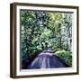 Woodland Road 2017-Tilly Willis-Framed Giclee Print