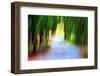 Woodland Road-Ursula Abresch-Framed Photographic Print