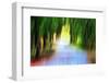 Woodland Road-Ursula Abresch-Framed Photographic Print