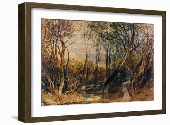 Woodland Scene, circa 1810, Watercolour on Paper-J. M. W. Turner-Framed Giclee Print