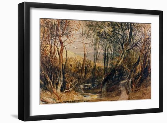 Woodland Scene, circa 1810, Watercolour on Paper-J. M. W. Turner-Framed Giclee Print