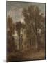 Woodland Scene Overlooking Dedham Vale, C.1802-03 (Oil on Canvas)-John Constable-Mounted Giclee Print