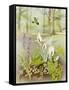 Woodland Scene with Green Woodpecker-Malcolm Greensmith-Framed Stretched Canvas