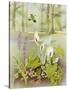 Woodland Scene with Green Woodpecker-Malcolm Greensmith-Stretched Canvas