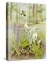 Woodland Scene with Green Woodpecker-Malcolm Greensmith-Stretched Canvas