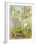 Woodland Scene with Green Woodpecker-Malcolm Greensmith-Framed Art Print