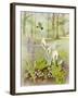 Woodland Scene with Green Woodpecker-Malcolm Greensmith-Framed Art Print