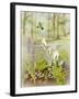 Woodland Scene with Green Woodpecker-Malcolm Greensmith-Framed Art Print