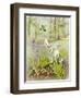 Woodland Scene with Green Woodpecker-Malcolm Greensmith-Framed Art Print