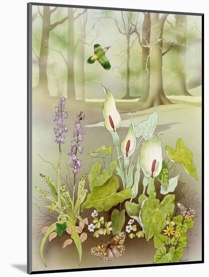 Woodland Scene with Green Woodpecker-Malcolm Greensmith-Mounted Art Print