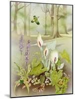 Woodland Scene with Green Woodpecker-Malcolm Greensmith-Mounted Art Print