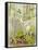 Woodland Scene with Green Woodpecker-Malcolm Greensmith-Framed Stretched Canvas