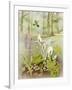 Woodland Scene with Green Woodpecker-Malcolm Greensmith-Framed Art Print