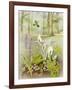 Woodland Scene with Green Woodpecker-Malcolm Greensmith-Framed Art Print