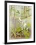 Woodland Scene with Green Woodpecker-Malcolm Greensmith-Framed Art Print