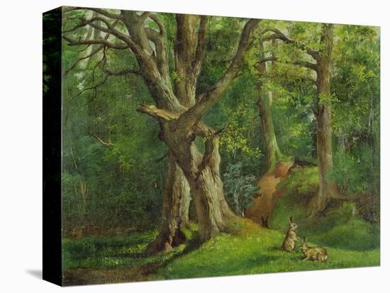 Woodland Scene with Rabbits, 1862-Hubert von Herkomer-Stretched Canvas