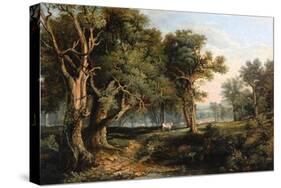 Woodland Scene-James Stark-Stretched Canvas
