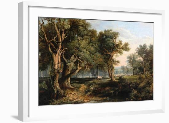 Woodland Scene-James Stark-Framed Giclee Print