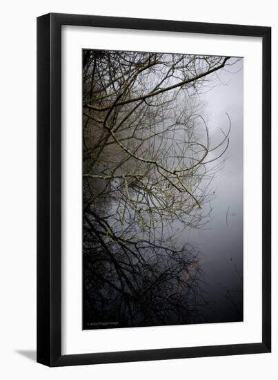 Woodland Scenery in England-David Baker-Framed Photographic Print