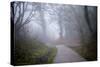 Woodland Scenery in England-David Baker-Stretched Canvas