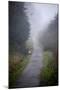 Woodland Scenery in England-David Baker-Mounted Photographic Print