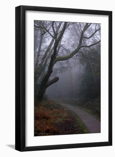 Woodland Scenery in England-David Baker-Framed Photographic Print