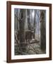Woodland Sentry-Kevin Daniel-Framed Art Print