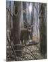 Woodland Sentry-Kevin Daniel-Mounted Art Print
