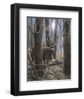 Woodland Sentry-Kevin Daniel-Framed Giclee Print