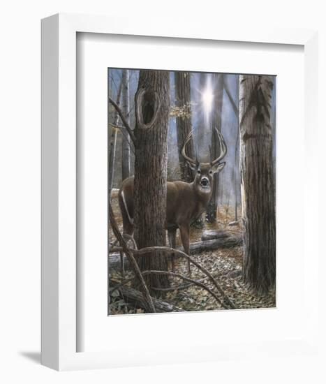 Woodland Sentry-Kevin Daniel-Framed Giclee Print